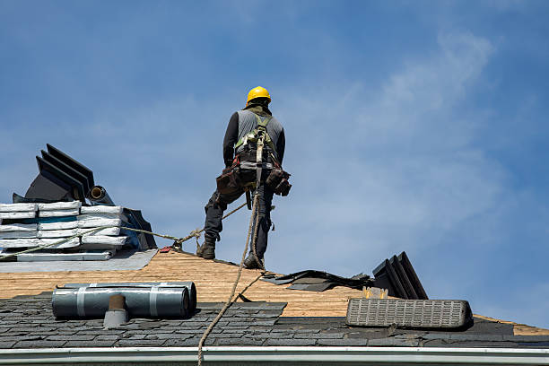Professional Metal Roofing technician working in Clarendon, NY